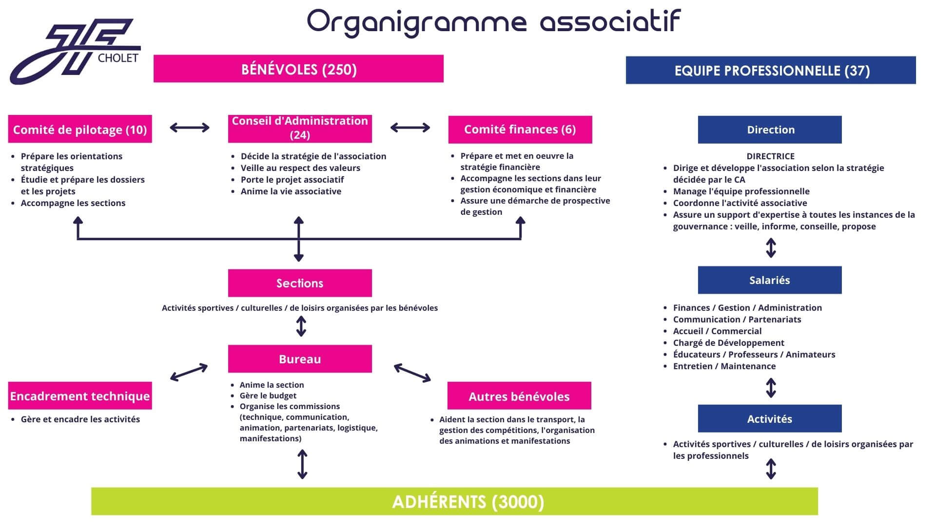 Bleu et Blanc Organigramme Présentation